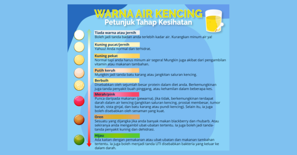 Berlaku perubahan pada warna air kencing yang berpotensi menunjukkan simptom awal tanda-tanda buah pinggang rosak