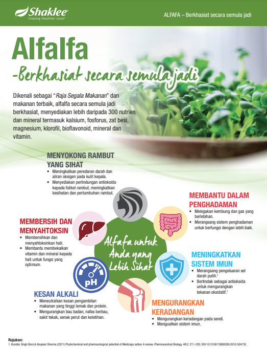 Keupayaan alfalfa untuk meneutralkan keasidan perut dan menyokong keseimbangan dalam usus boleh menyumbang kepada pengurangan simptom refluks asid