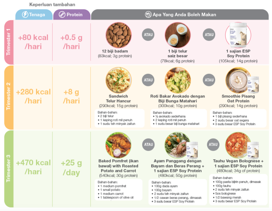 Keperluan protein meningkat mengikut perubahan trimester