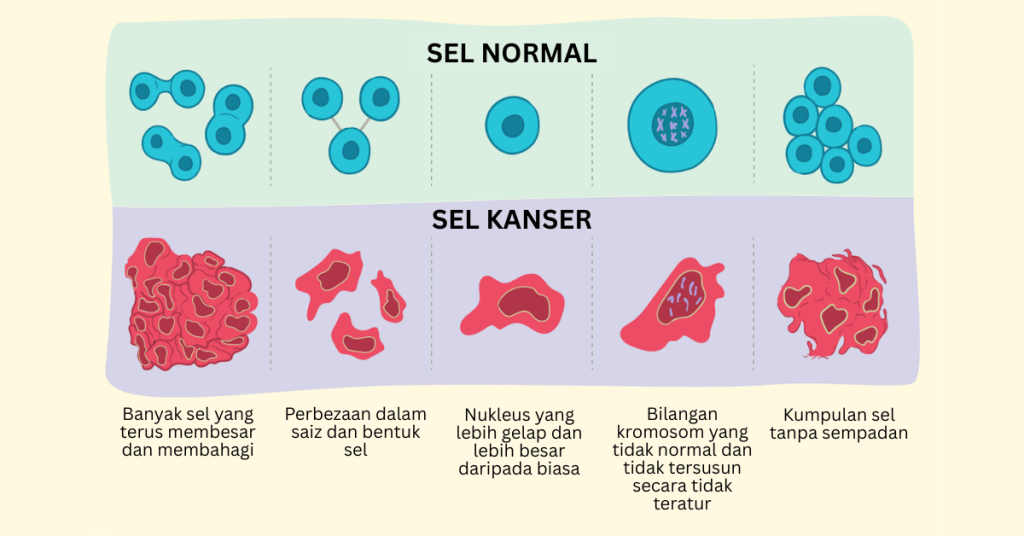 Tanda-tanda kanser dapat dilihat melalui perbezaan sel sihat dan sel yang telah dijangkiti kanser